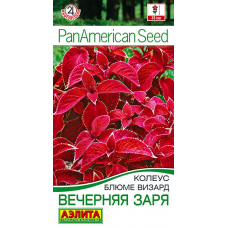 Колеус блюме визард Вечерняя заря, 5 семян (PanAmerican Seed - Аэлита)