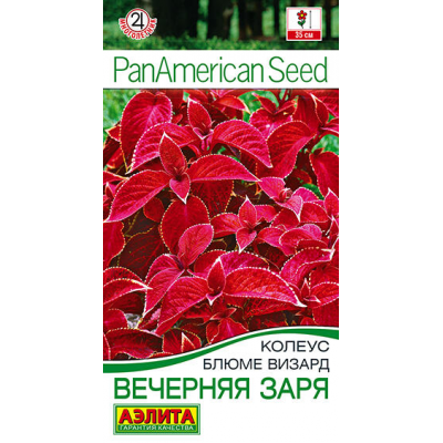 Колеус блюме визард Вечерняя заря, 5 семян (PanAmerican Seed - Аэлита)