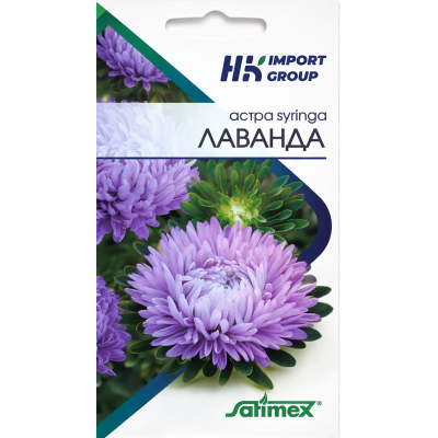 Астра Syringa Лаванда 30 шт. (Satimex, Германия)