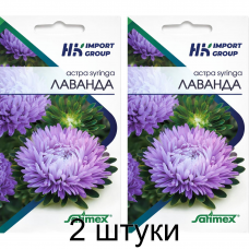 Астра Syringa Лаванда 30 шт. (Satimex, Германия)- 2шт