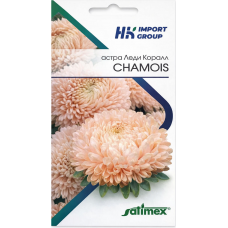Астра Леди Коралл Chamois 30 шт. (Satimex, Германия)