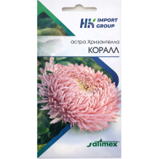 Астра Хризантелла Коралл 30 шт. (Satimex, Германия)
