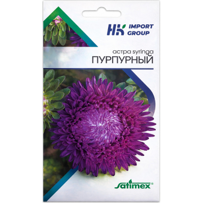 Астра Syringa Пурпурная крупноцветковая, 30 шт, Satimex Германия