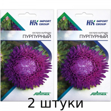 Астра Syringa Пурпурная крупноцветковая, 30 шт, Satimex Германия - 2шт