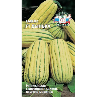 Тыква Дынька, 1г (СеДеК)