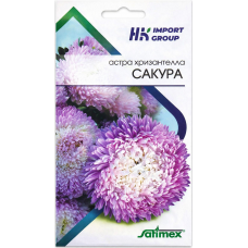 Астра Хризантелла Сакура (Chrysantella Sakura) Satimex Германия