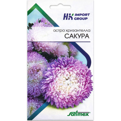 Астра Хризантелла Сакура (Chrysantella Sakura) Satimex Германия