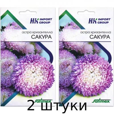 Астра Хризантелла Сакура (Chrysantella Sakura) Satimex Германия - 2шт