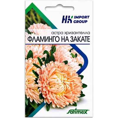 Астра Хризантелла Фламинго на закате Satimex Германия, 30 шт.