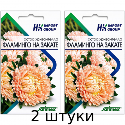 Астра Хризантелла Фламинго на закате Satimex Германия, 30 шт. - 2шт