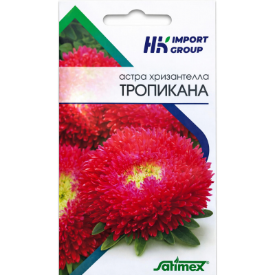 Астра Хризантелла Тропикана Satimex Германия, 30 шт