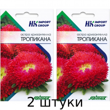Астра Хризантелла Тропикана Satimex Германия, 30 шт - 2шт