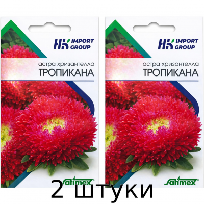 Астра Хризантелла Тропикана Satimex Германия, 30 шт - 2шт