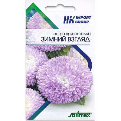 Астра Хризантелла Зимний взгляд Satimex Германия, 30 шт.