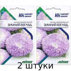 Астра Хризантелла Зимний взгляд Satimex Германия, 30 шт. - 2шт