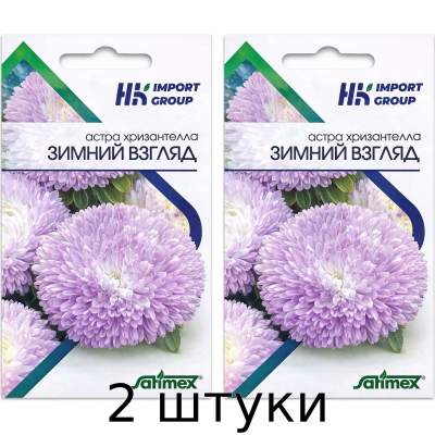 Астра Хризантелла Зимний взгляд Satimex Германия, 30 шт. - 2шт
