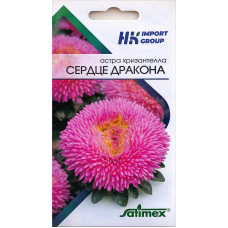 Астра хризантелла Сердце Дракона Satimex, Германия (30 семян)