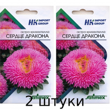 Астра хризантелла Сердце Дракона Satimex, Германия (30 семян) - 2шт