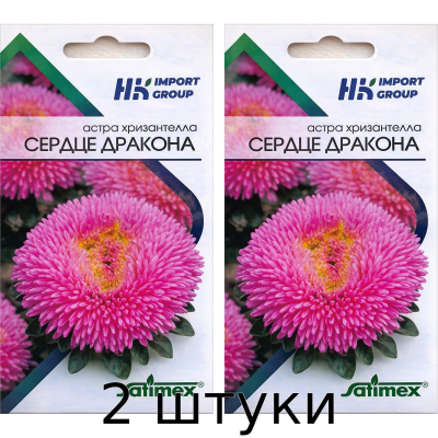 Астра хризантелла Сердце Дракона Satimex, Германия (30 семян) - 2шт