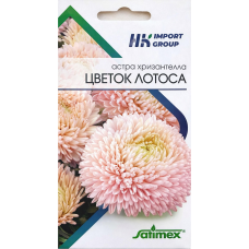 Астра хризантелла Цветок Лотоса Satimex Германия, 30 семян