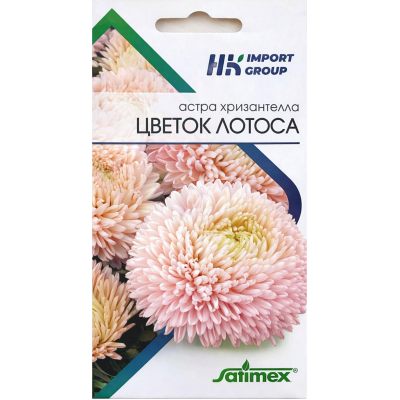 Астра хризантелла Цветок Лотоса Satimex Германия, 30 семян