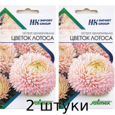 Астра хризантелла Цветок Лотоса Satimex Германия, 30 семян - 2шт