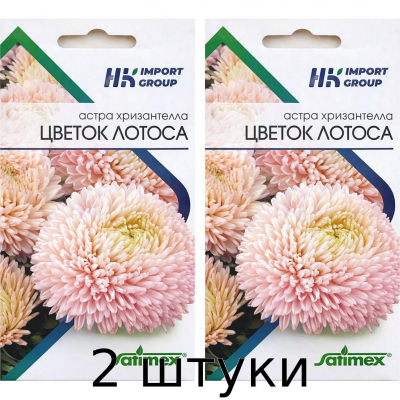Астра хризантелла Цветок Лотоса Satimex Германия, 30 семян - 2шт