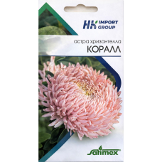 Астра хризантелла Коралл Satimex Германия, 30 семян