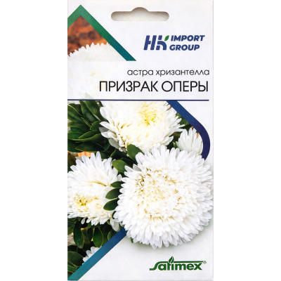Астра хризантелла Призрак Оперы Satimex Германия, 30 семян