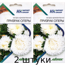 Астра хризантелла Призрак Оперы Satimex Германия, 30 семян - 2шт