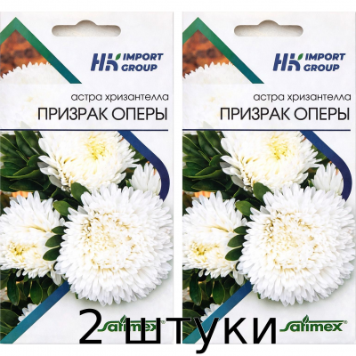 Астра хризантелла Призрак Оперы Satimex Германия, 30 семян - 2шт