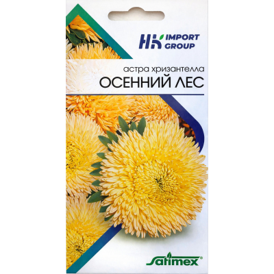 Астра хризантелла Осенний лес Satimex Германия, 30 семян