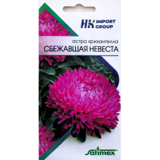 Астра хризантелла Сбежавшая невеста Satimex Германия, 30 семян