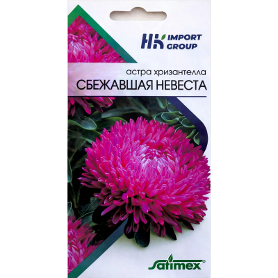 Астра хризантелла Сбежавшая невеста Satimex Германия, 30 семян