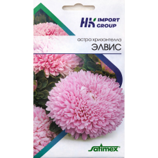Астра хризантелла Элвис Satimex Германия, 30 семян