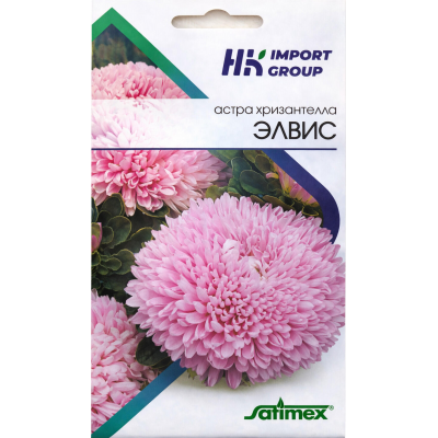 Астра хризантелла Элвис Satimex Германия, 30 семян