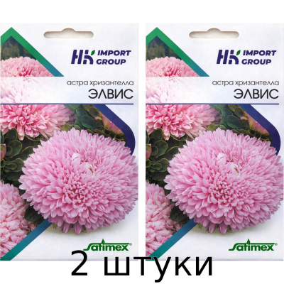 Астра хризантелла Элвис Satimex Германия, 30 семян - 2шт