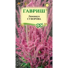 Лимониум Суворова (статица) 0,01г (Цветочная коллекция - Гавриш)