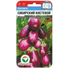 Баклажан Сибирский кистевой (Сиб Сад) 20 семян
