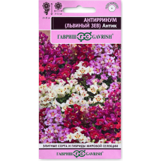 Львиный зев азалиевидный Антик смесь сортов, 7 семян (серия Эксклюзив - Гавриш)