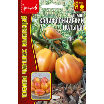 Томат Калифорнийский Тюльпан, 5 семян (томаты Частных коллекций - Григорьев)