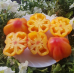 Томат Калифорнийский Тюльпан, 5 семян (томаты Частных коллекций - Григорьев)