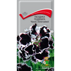 Гвоздика Геддевига Черная с белой каймой 0,04гр (Поиск)