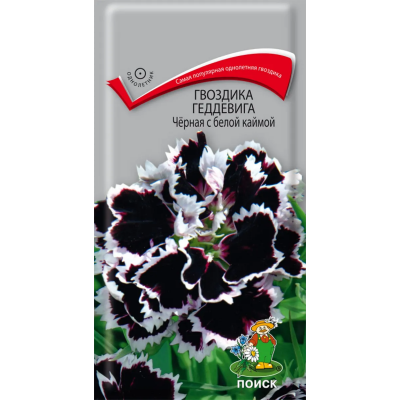 Гвоздика Геддевига Черная с белой каймой 0,04гр (Поиск)