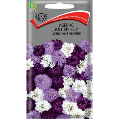 Иберис зонтичный Ежевичные меренги - смесь окрасок