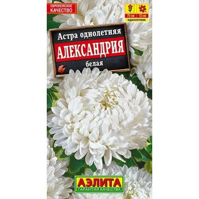 Семена астры Александрия белая 0,1 гр (Аэлита)