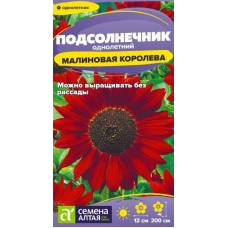 Семена Подсолнечника Малиновая Королева 0,3 гр