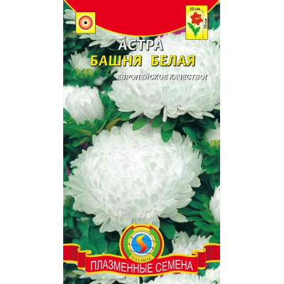 Семена астры пионовидной Башня Белая (Плазменные семена)