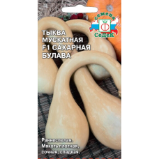 Тыква Сахарная булава (мускатная) - семена СеДек