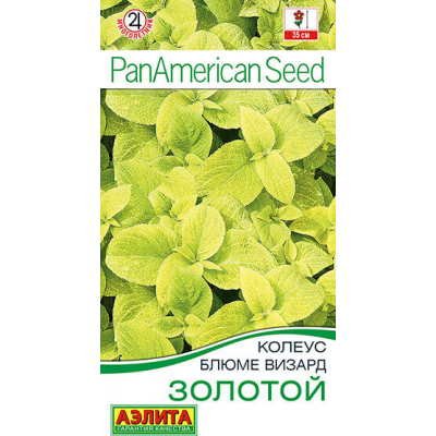 Колеус Блюме Золотой, 5 семян (Аэлита)